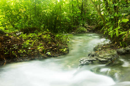 Waterfall in forrest.
