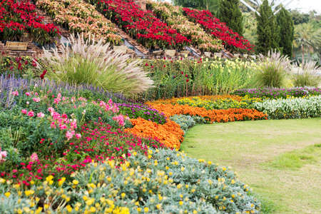 Landscaped garden with flowerbed and colorful plantsの写真素材