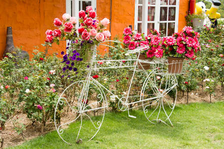 Vintage bicycle decor with flower in gardenの写真素材