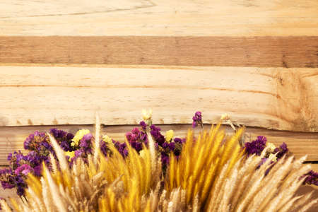 Flowers against brown wood background with copy space.の写真素材