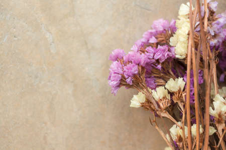 Close-up Dried flower can use for background