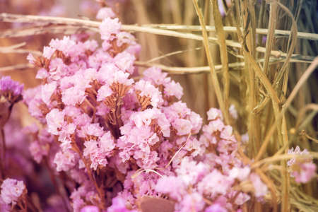 Close-up Dried flower can use for background. Pastel tone.の写真素材