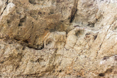 High quality surface of the stone texture background.の写真素材