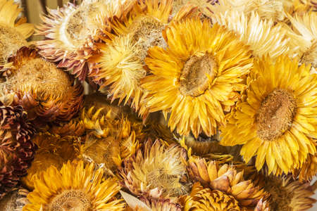 Close-up dried flowers backgroundの写真素材
