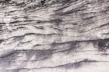 surface wood grain texture background.の写真素材