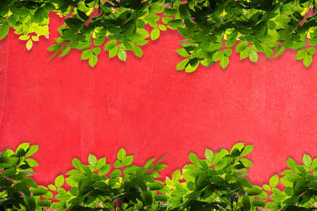 Green leaves frame against Red concrete wall texture backgroundの写真素材