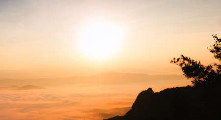 Foggy above the mountain in morning with sunshine. Silhouetted foreground.