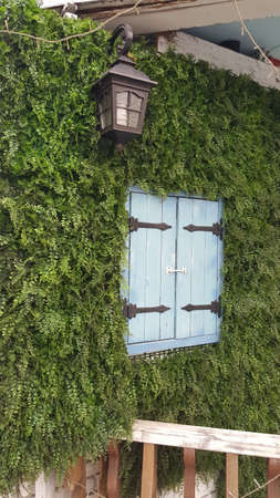 Outdoor Beautiful Window For Designer Wallpaper Background Bannerの写真素材