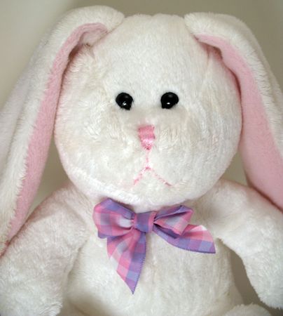 Easter bunnyの写真素材