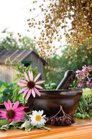 mortar and pestle with healing herbs の写真素材