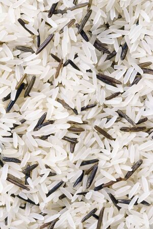 White and wild riceの写真素材
