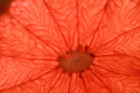 Grapefruit backgroundの写真素材