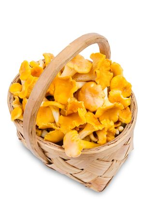 chanterelle mushrooms in basket, isolatedの写真素材