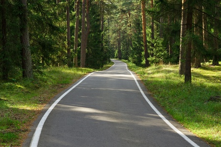 Road in forestの写真素材