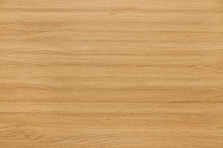 texture of natural oak woodの写真素材