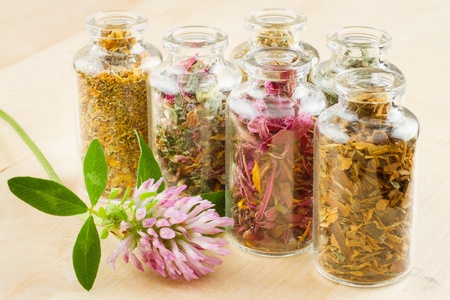 healing herbs in glass bottles, herbal medicineの写真素材