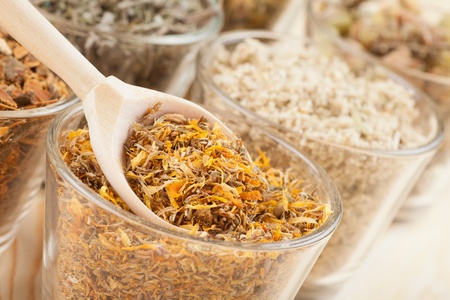 healing herbs in glass cups and wooden spoon, herbal medicineの写真素材