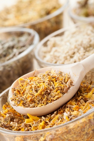 healing herbs in glass cups and wooden spoon, herbal medicineの写真素材