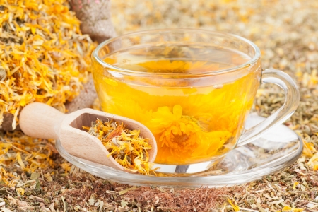 cup of herbal tea and healing herbsの写真素材