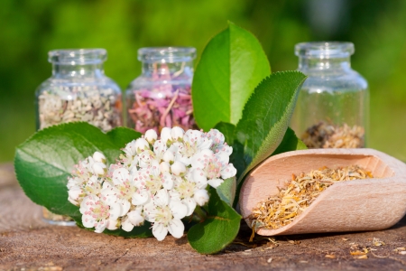 glass bottles with healing herbs on wooden board in sunset sunlight, herbal medicineの写真素材