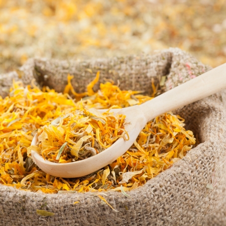 sack of healing herbs and wooden scoop, herbal medicine の写真素材
