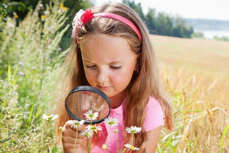 Little girl exploring the daisy flower through the magnifying glass outdoorsの写真素材