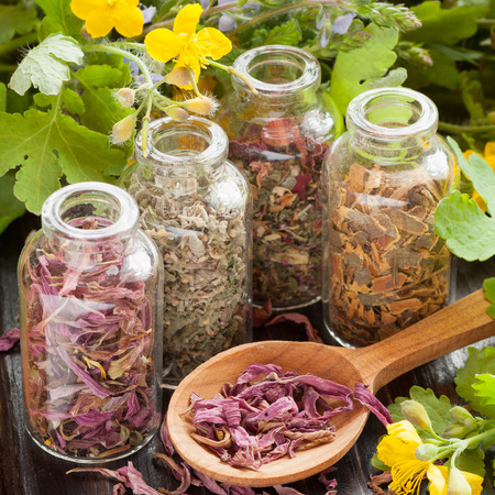 healing herbs in glass bottles, dried healthy plants in wooden spoon, herbal medicineの写真素材