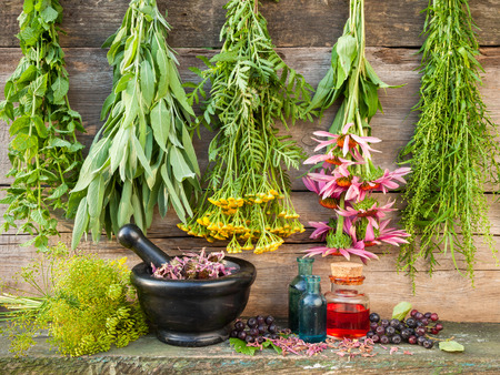 bunches of healing herbs on wooden wall, mortar with dried plants and bottles, herbal medicineの写真素材