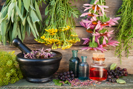 bunches of healing herbs on wooden wall, mortar, bottles and berries, herbal medicine