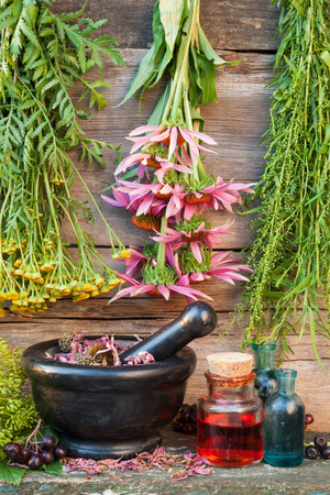 bunches of healing herbs on wooden wall, black stone mortar and glass bottles, herbal medicineの写真素材