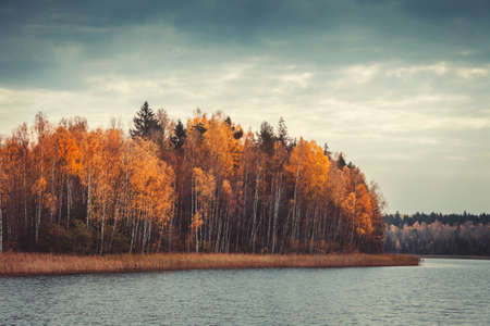 Autumn forest with yellow trees and  lake. National Park "Narochansky". Blue lakes. Belarus. Retro stylized. Toning effect.の写真素材