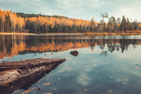 Beautiful forest and old wooden pier on tranquil lake with trees reflection, autumn landscape. National Park "Narochansky". Blue lakes. Belarus. Retro stylized. Toning effect.の写真素材