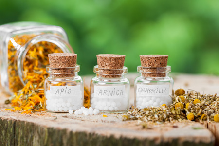 Three bottles of homeopathy globules and healthy herbs.の写真素材