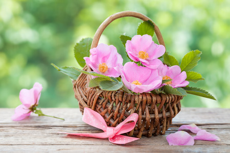 Wicker basket with wild rose flowers. Wedding or birthday decoration in rustic style.の写真素材