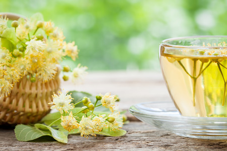 Cup of linden tea and wicker basket with lime flowers, herbal medicine.の写真素材