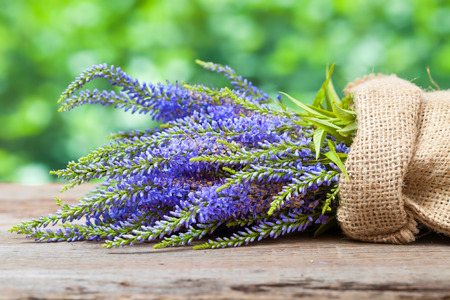 Bunch of blue summer flowers in a bag. Decor in rustic style.の写真素材