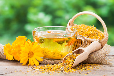 Cup of healthy marigold tea and calendula flowers.の写真素材