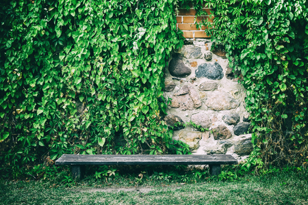 Wooden bench near old stone wall covered with ivy leavesの写真素材