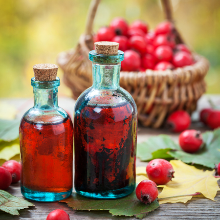 Bottles of hawthorn berries tincture and red thorn apples in basket on wooden table with autumn maple leaves. Herbal medicine. Selective focus.の写真素材