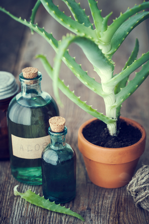 Aloe plant in flowerpot, organic aloe vera gel and other products on wooden table. Herbal medicine. Retro toned.の写真素材