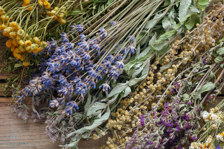 Bunch of healing herbs on wooden board. Herbal medicine. Top view, flat lay.の写真素材