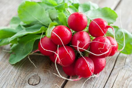 Fresh ripe radishes bundle on wooden board.の写真素材