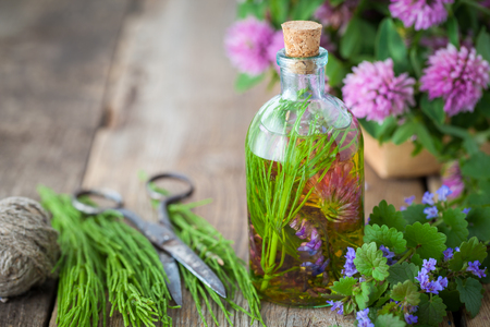Bottles of tincture or infusion of healthy herbs, scissors, healing herbs on wooden board. Herbal medicine concept.の写真素材