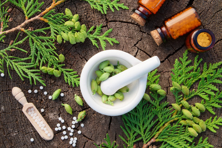 Bottles of homeopathic globules, Thuja occidentalis drugs and mortar. Homeopathy medicine. Top view.の写真素材