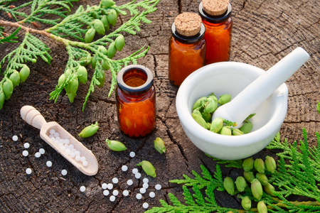 Bottles of homeopathic globules, Thuja occidentalis drugs, mortar and pestle. Homeopathy medicine concept.の写真素材