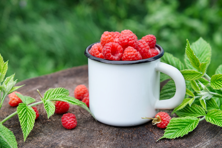 Enameled mug of raspberries outdoors.の写真素材