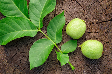 Green unripe walnut and leaves on wooden background. Top view.の写真素材