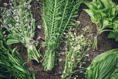 Bunches of healing herbs on wooden board. Herbal medicine. Top view, flat lay. Retro toned photo.の写真素材