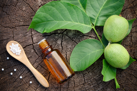 Walnuts, bottle of Juglans regia tincture and homeopathic globules. Homeopathy medicine. Top view, flat lay.の写真素材