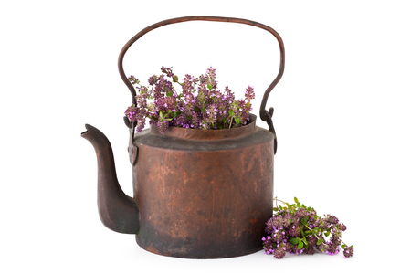 Vintage rustic tea kettle full of thyme flowers and bunch of thyme on white background. Herbal medicine.の写真素材